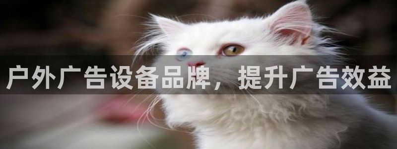 杏宇平台怎么样赚钱