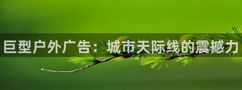 杏宇平台官网注册