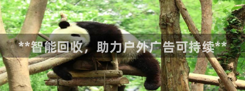 杏宇平台登录步骤是什么
