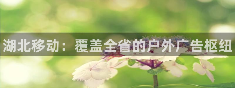 杏宇平台提现为什么这么久呢