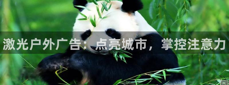 杏宇平台登录方法