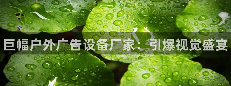 杏宇平台总代理