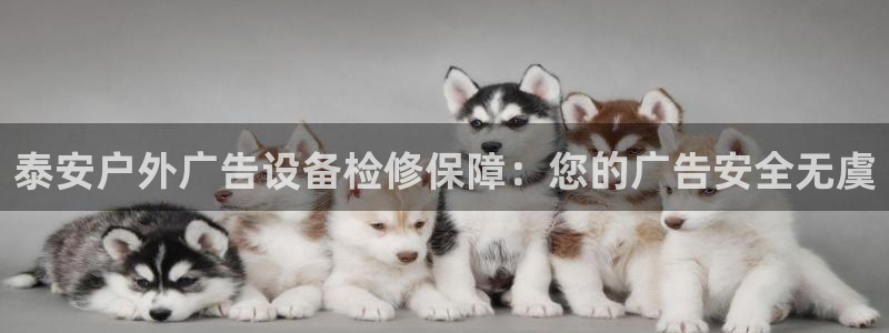杏宇平台注册登录