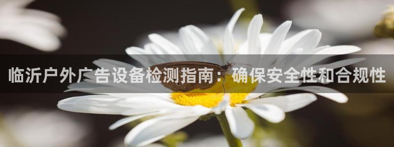 杏宇平台代理多少钱一个月：临沂户外广告设备检测指南：确保安全性和合规性