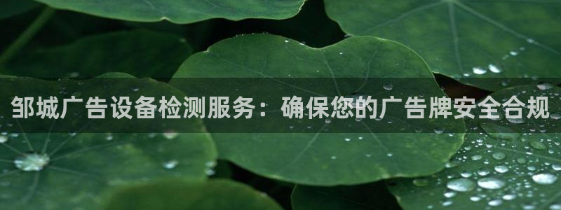 杏宇平台提现为什么这么久呢：邹城广告设备检测服务：确保您的广告牌安全合规
