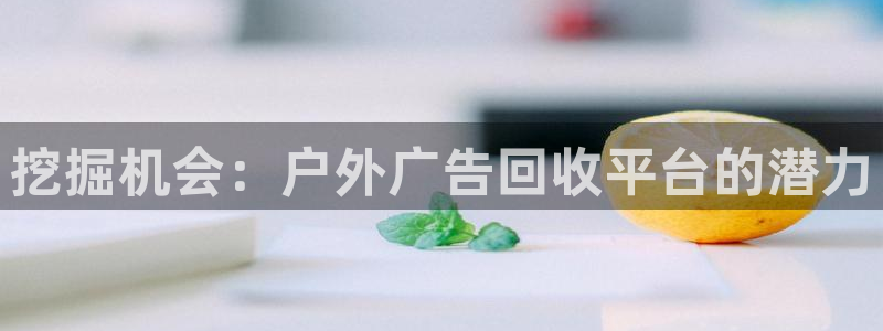 杏宇平台主管