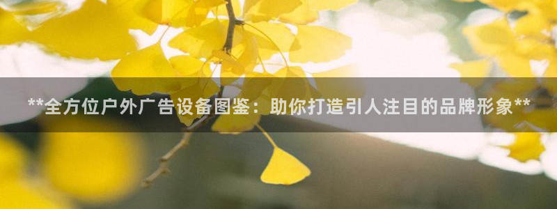 杏宇平台官网注册：**全方位户外广告设备图鉴：助你打造引人注目的品牌形象**