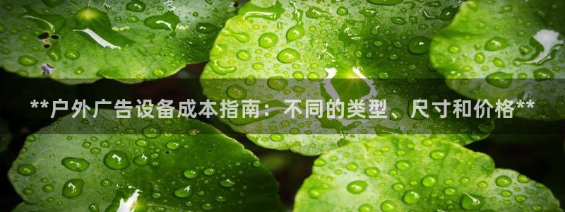 杏宇平台是什么：**户外广告设备成本指南：不同的类型、尺寸和价格**