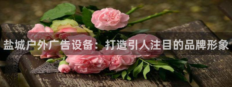 杏宇平台代理多少钱一个：盐城户外广告设备：打造引人注目的品牌形象