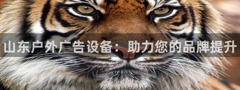 杏宇平台代理多少钱：山东户外广告设备：助力您的品牌提升