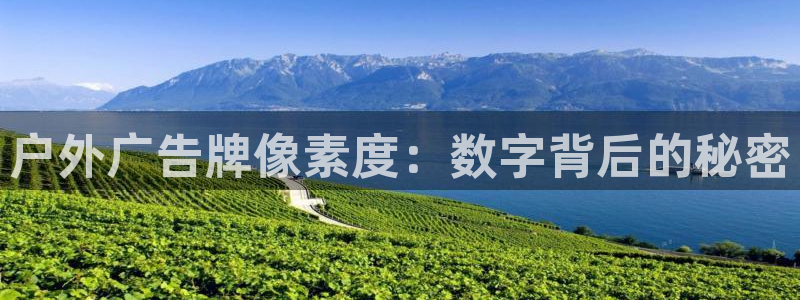 杏宇平台招商电话号码