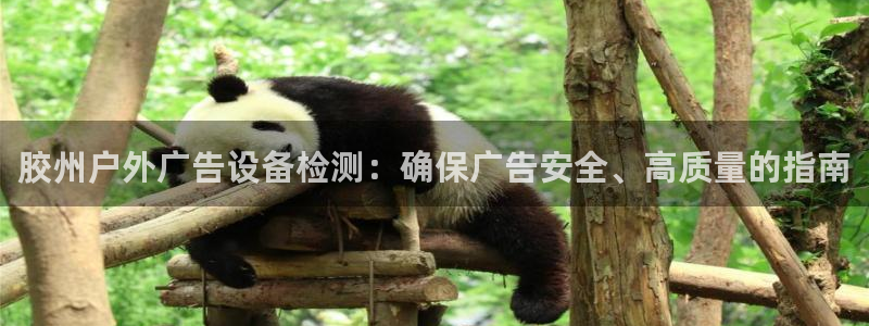 杏宇平台招商：胶州户外广告设备检测：确保广告安全、高质量的指南