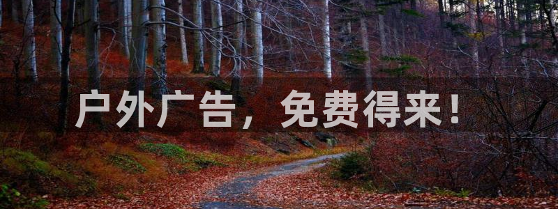 杏宇官方平台官网下载
