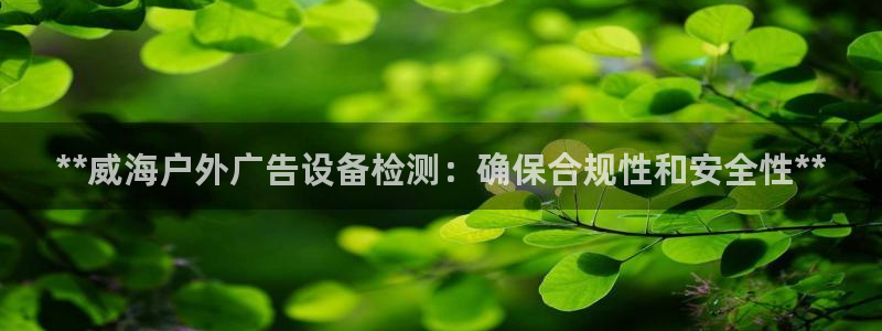 杏宇平台代理怎么样啊：**威海户外广告设备检测：确保合规性和安全性**