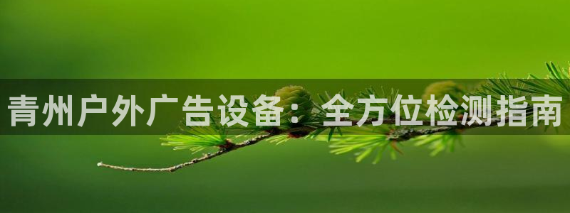杏宇平台招商怎么样