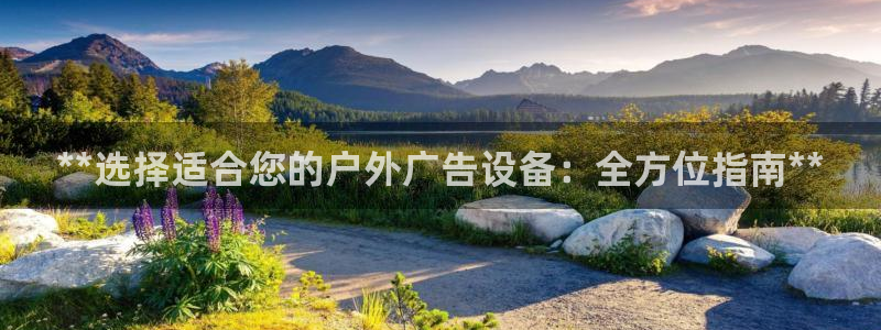 杏宇平台注册登录：**选择适合您的户外广告设备：全方位指南**