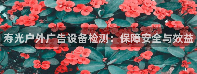 杏宇平台登录步骤是什么