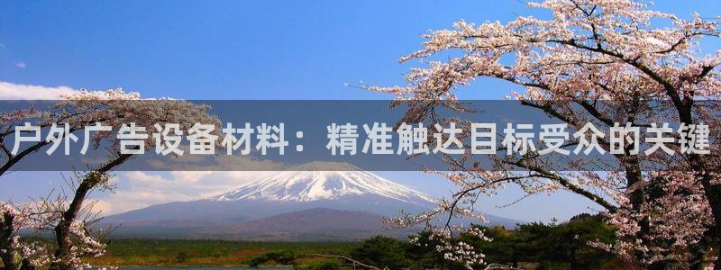 杏宇平台总代理