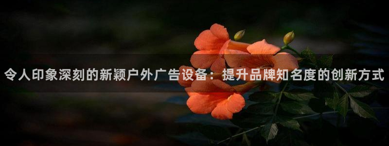 杏宇平台登录步骤