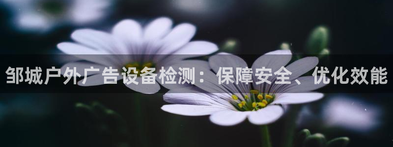 杏宇平台登录方法
