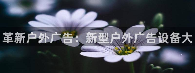杏宇平台注册登录
