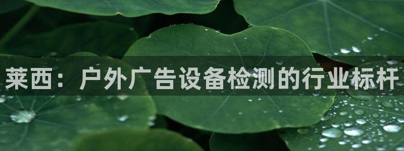 杏宇平台怎么样