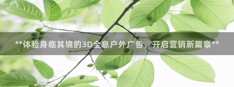 杏宇平台是什么