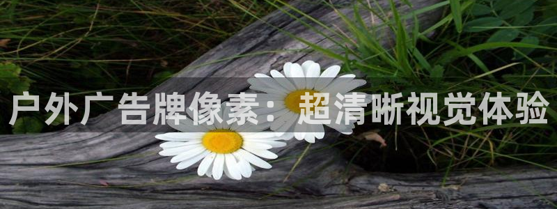 杏宇平台注册登录