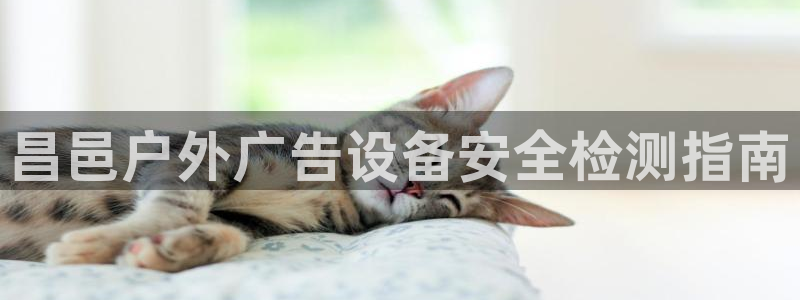 杏宇平台代理多少钱一次