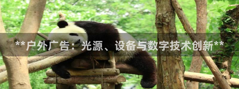 杏宇平台怎么样赚钱