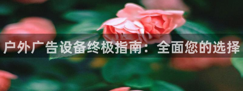 杏宇平台登录方法：户外广告设备终极指南：全面您的选择