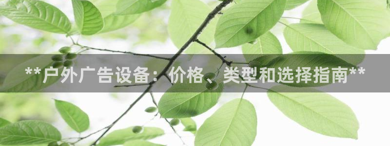杏宇平台代理怎么样啊
