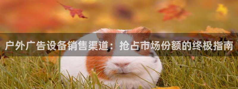 杏宇平台代理怎么赚钱