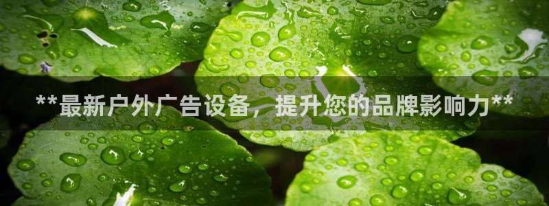 杏宇平台代理多少钱