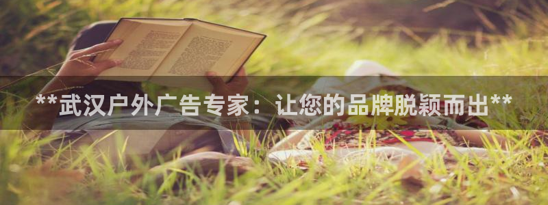 杏宇代理注册：**武汉户外广告专家：让您的品牌脱颖而出**