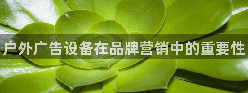 杏宇平台总代理电话：户外广告设备在品牌营销中的重要性