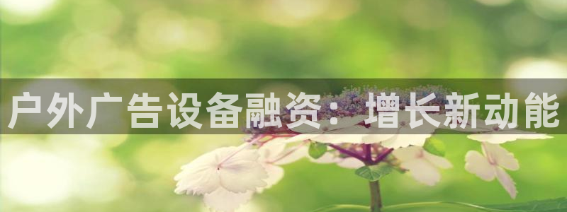 杏宇平台怎么样
