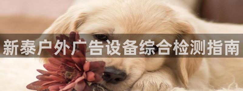 杏宇平台代理怎么赚钱的：新泰户外广告设备综合检测指南