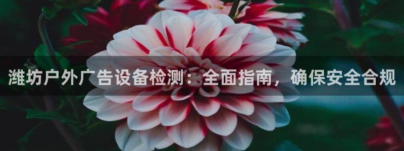 杏宇平台怎么样知乎