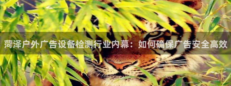 杏宇平台登陆