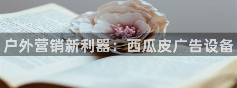 杏宇平台代理怎么赚钱快