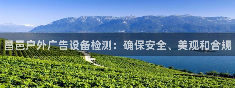 杏宇官方平台官网下载