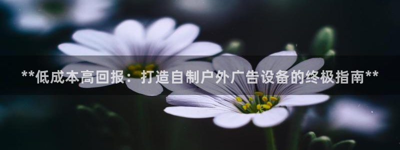 杏宇官方平台官网下载