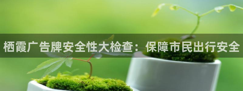 杏宇平台代理多少钱一个