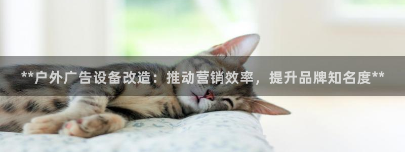杏宇平台怎么样知乎：**户外广告设备改造：推动营销效率，提升品牌知名度**