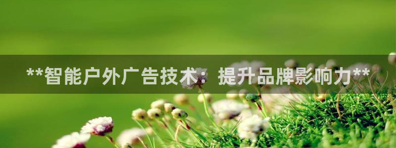 杏宇平台代理怎么赚钱：**智能户外广告技术：提升品牌影响力**