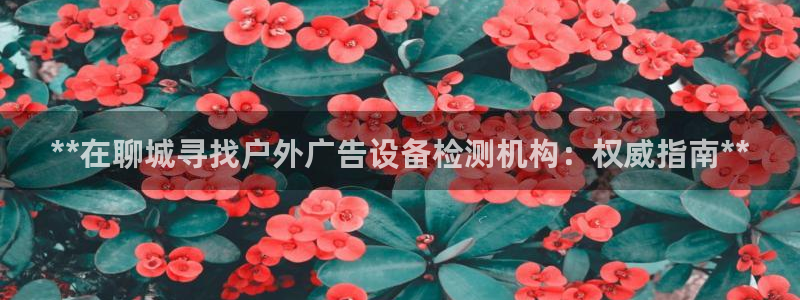杏宇平台代理怎么赚钱快：**在聊城寻找户外广告设备检测机构：权威指南**
