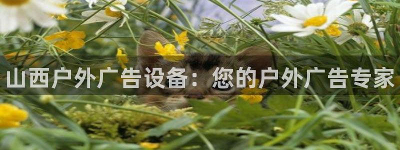 杏宇平台代理多少钱一次：山西户外广告设备：您的户外广告专家