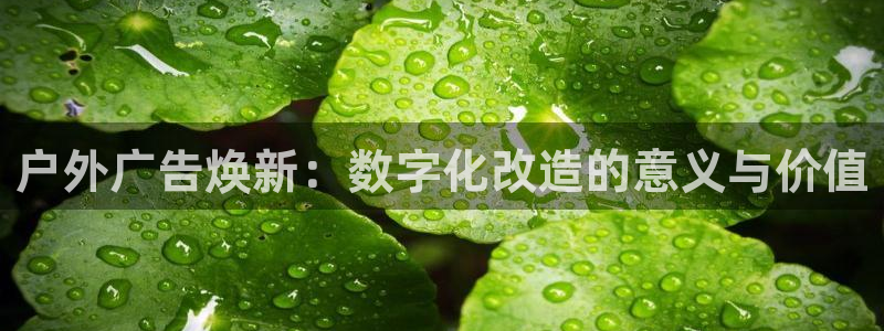 杏宇平台代理多少钱