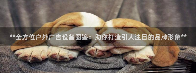 杏宇平台登陆：**全方位户外广告设备图鉴：助你打造引人注目的品牌形象**